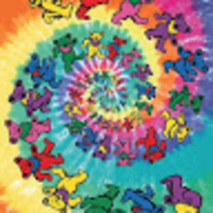 Meet your Posher, Haylee